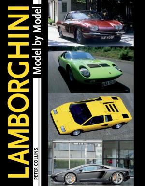 Cover of the book Lamborghini Model by Model by Nigel Burkin