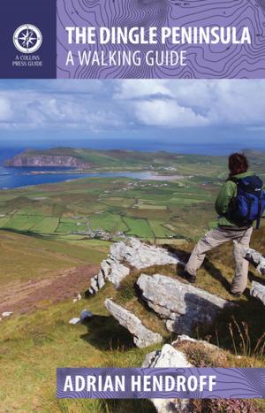 Book cover of The Dingle Peninsula