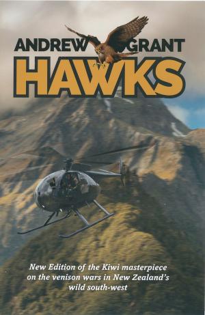 Cover of the book Hawks by Holly Barbo