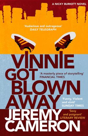 Cover of the book Vinnie Got Blown Away by Salvatore Paci