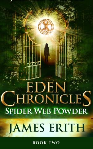 Cover of the book Spider Web Powder by Rajdeep Paulus