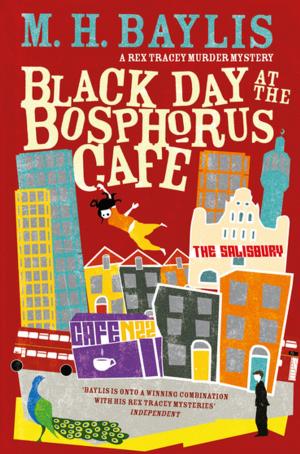 Book cover of Black Day at the Bosphorus Café