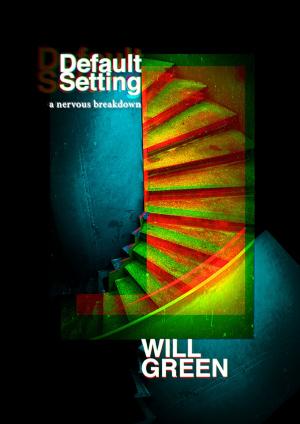 Cover of the book Default Setting by Arlene L. Williams