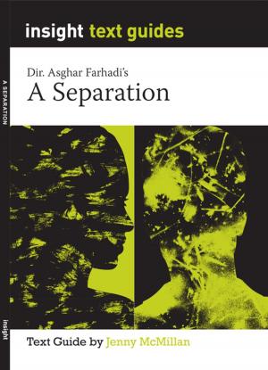 Cover of the book A Separation by Anica Boulanger-Mashberg