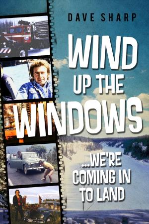 Cover of the book Wind Up The Windows We’re Coming In To Land by Sheree da Costa, Danielle DuBois, Jillian Flitton, Debbie James