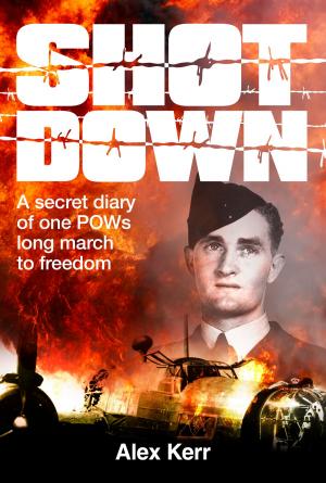 Cover of the book Shot Down by Michael Tyquin