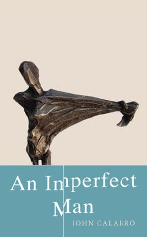 Cover of the book An Imperfect Man by Christopher Levenson