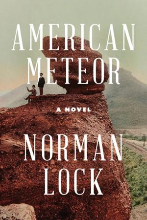 Cover of the book American Meteor by Brian Switek