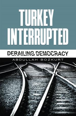 Cover of the book Turkey Interrupted by Jon Pahl