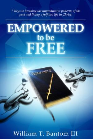 Cover of the book Empowered to Be Free by Sola S. Olukokun
