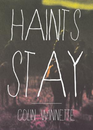 Cover of the book Haints Stay by Melanie Finn