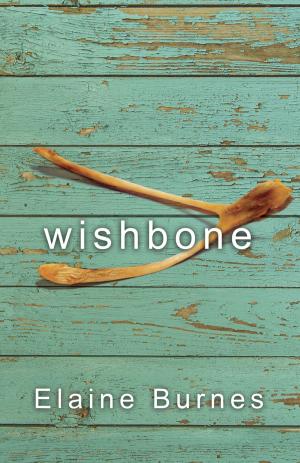 Cover of the book Wishbone by Patricia Taylor Wells