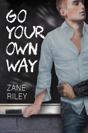 Cover of the book Go Your Own Way by Christi Barth