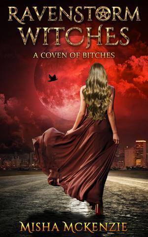 Cover of the book RavenStorm Witches by Misha McKenzie