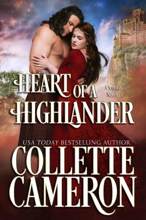 Cover of the book Heart of a Highlander by Heather Snow