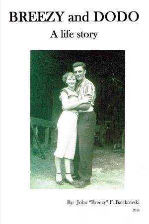 Cover of the book BREEZY and DODO by Priscilla Terry