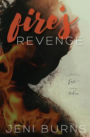 Cover of the book Fire's Revenge by Bud Sparhawk