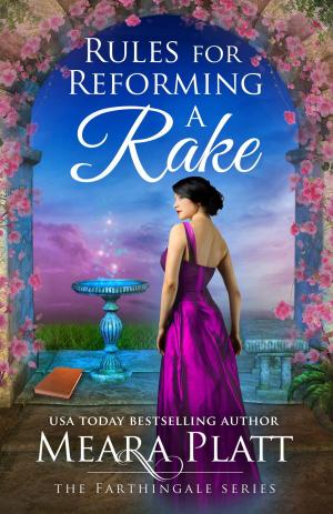 bigCover of the book Rules for Reforming a Rake by 