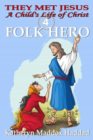 Book cover of Folk Hero