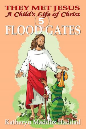 Cover of the book Flood Gates by Katheryn Maddox Haddad