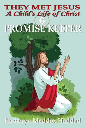 Cover of the book Promise Keeper by Maddox Haddad Katheryn