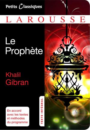 Cover of the book Le Prophète by Vincent Amiel, Marie-Laure André