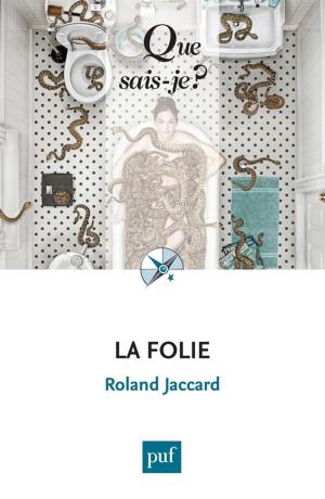 Cover of the book La folie by Laurent Plantier, Alain Bauer