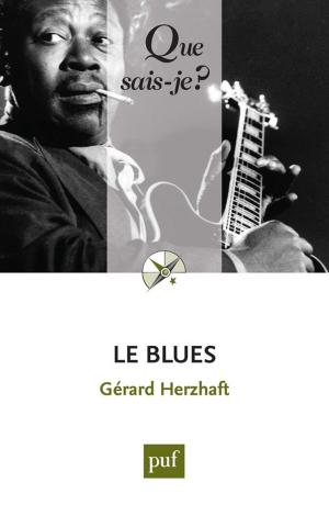 Cover of the book Le blues by Alain Couret, Lucien Rapp