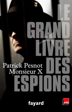 Book cover of Le grand livre des espions