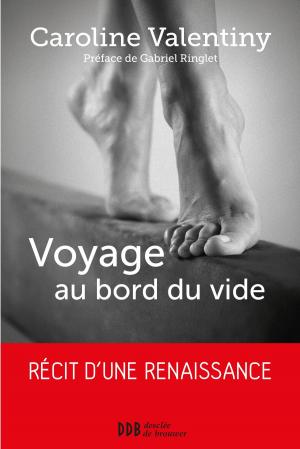 Cover of the book Voyage au bord du vide by Olivier Clément