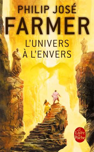 Cover of the book L'Univers à l'envers by Pierre Hadot, Ilsetraut Hadot