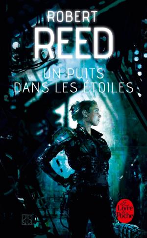 Cover of the book Un puits dans les étoiles by Pierre Ravier, Werner Reuther