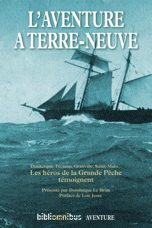 Book cover of L'aventure à Terre-Neuve