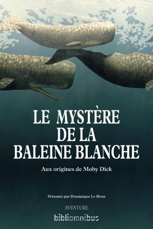 Book cover of Le mystère de la baleine blanche