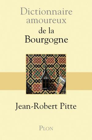 Cover of Dictionnaire amoureux de la Bourgogne