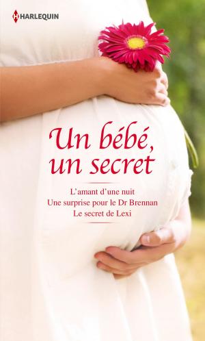 Cover of the book Un bébé, un secret by Nancy Robards Thompson, Stella Bagwell, Kathy Douglass
