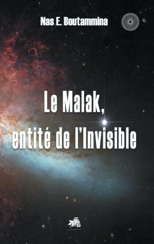 Cover of the book Le Malak, entité de l'Invisible by Arthur Woodlands