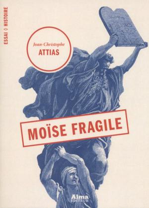 Cover of the book Moïse fragile by Pierre Raufast