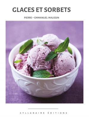 Book cover of Glaces et sorbets