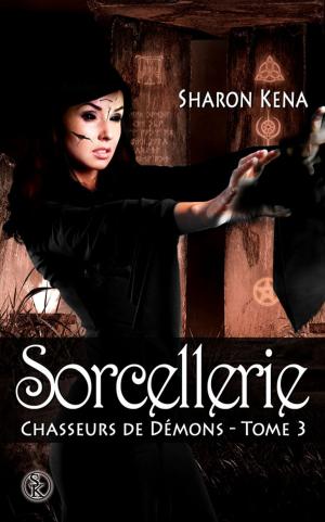 Book cover of Sorcellerie