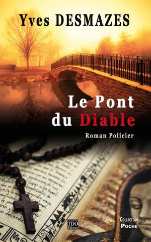 Cover of the book Le Pont du Diable by Patrick Naville