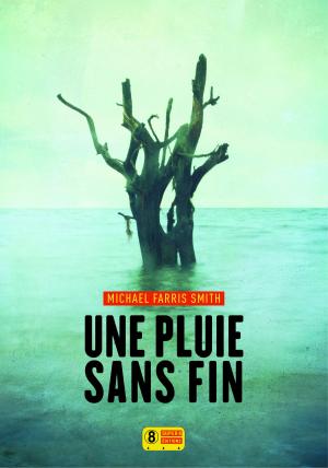 Book cover of Une pluie sans fin