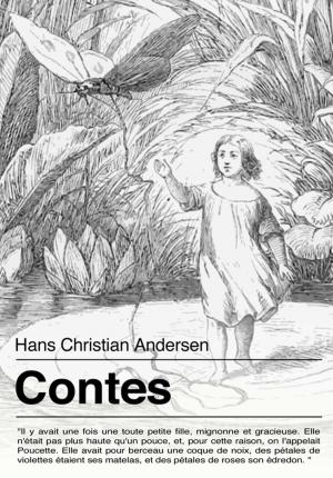 Book cover of Les contes d'Andersen