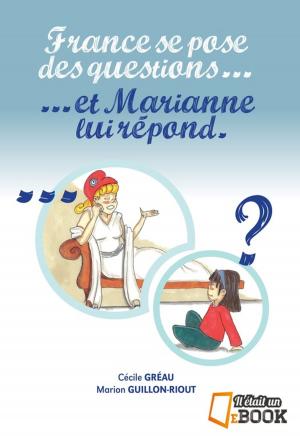 Cover of the book France se pose des questions ... et Marianne lui répond by Brandy Lee