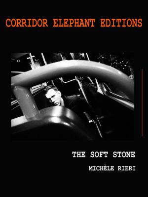 Cover of the book The soft stone by Alain Burosse