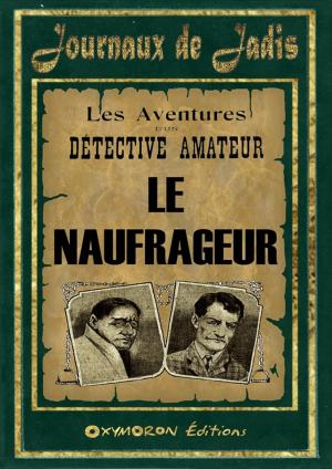 Cover of the book 3 - Le Naufrageur by Gustave Gailhard