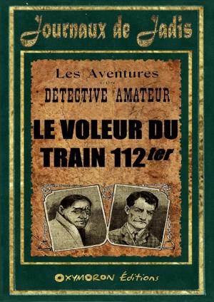 Cover of the book 4 - Le Voleur du Train 112ter by Rodolphe Bringer