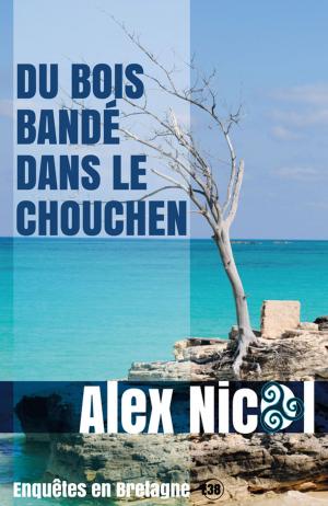 Cover of the book Du bois bandé dans le chouchen by Gilles Milo-Vacéri