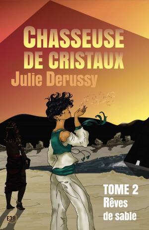 Cover of the book Rêves de sable by Nicolas Cluzeau