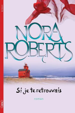 Cover of the book Si je te retrouvais by Anne Berland